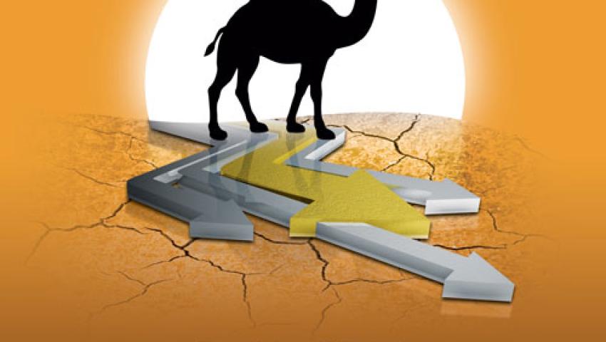امور بین الملل
