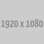 نمایشگاه‌ها و رویدادهای عمومی